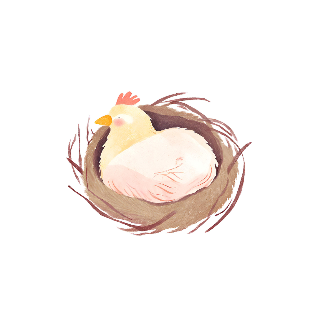 How to Keep Clean and Hygienic Nesting Boxes for Chickens